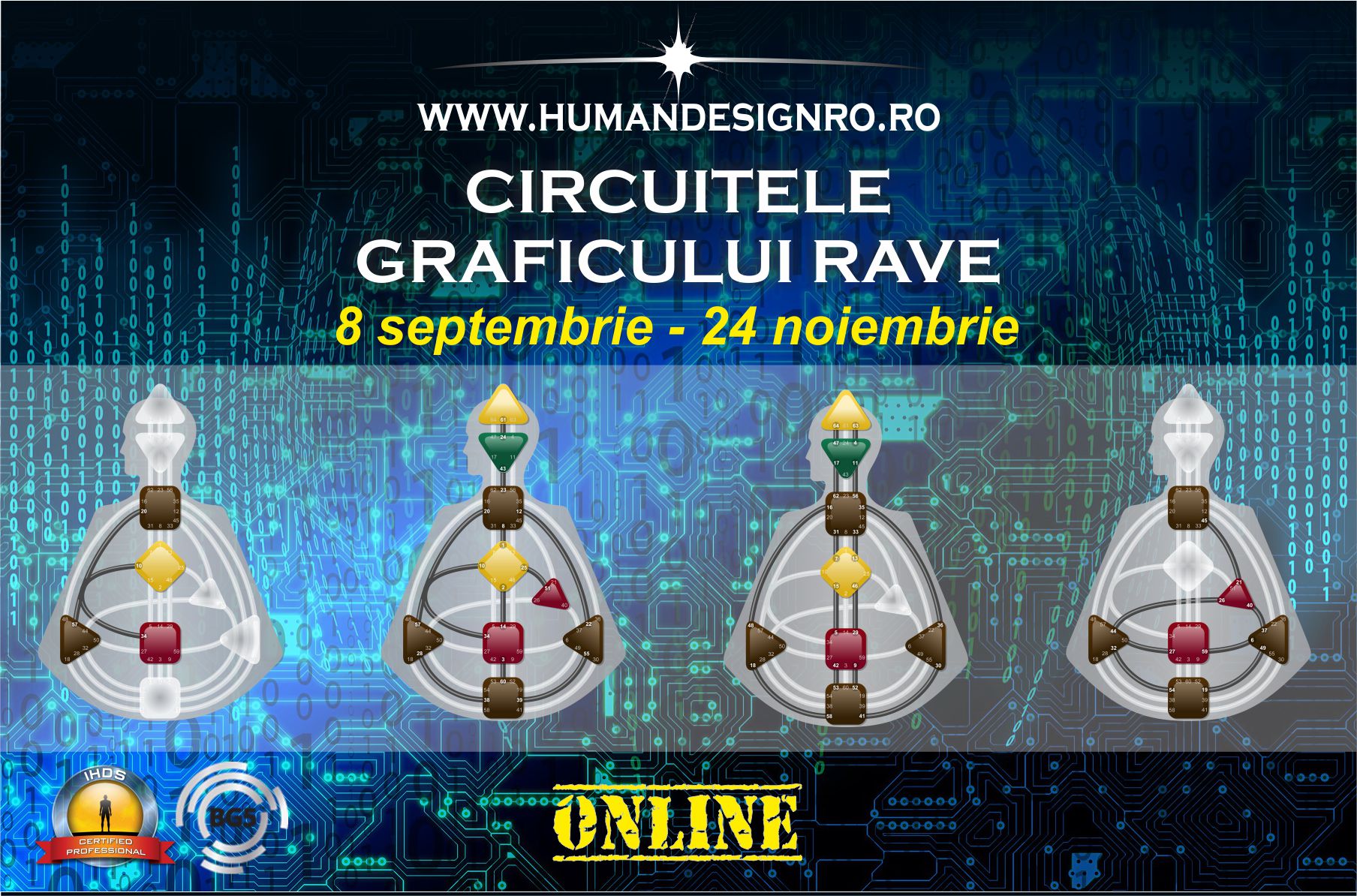 Curs Human Design – Circuite si Canale din Graficul RAVE