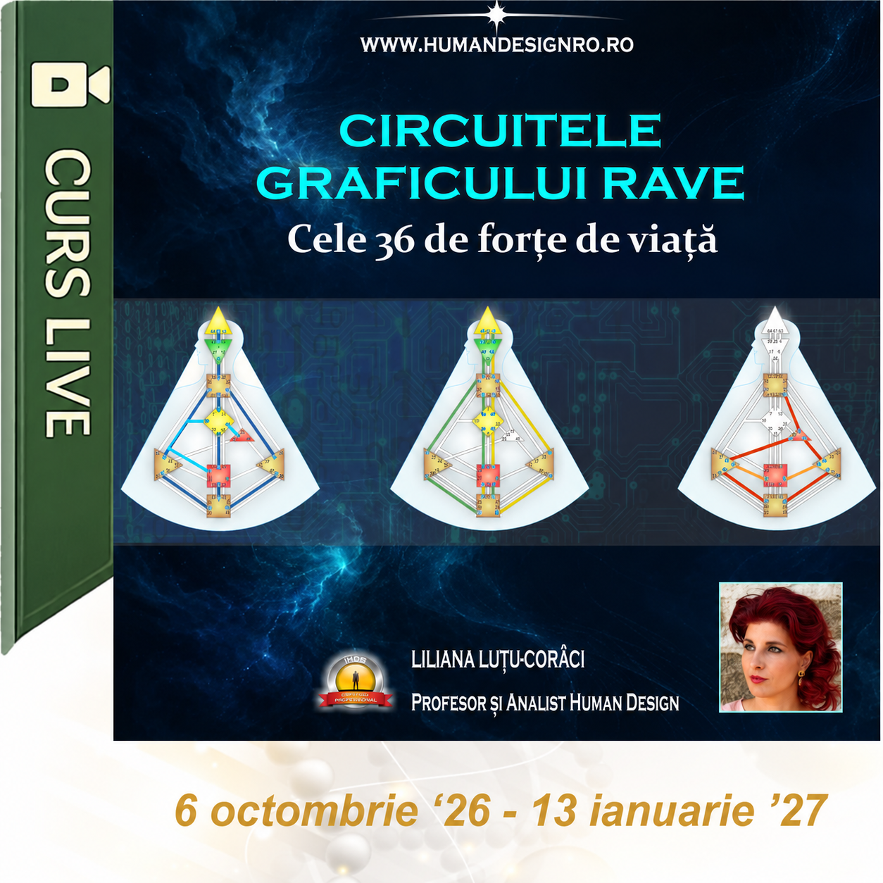 Curs Human Design – Circuitele Graficului RAVE