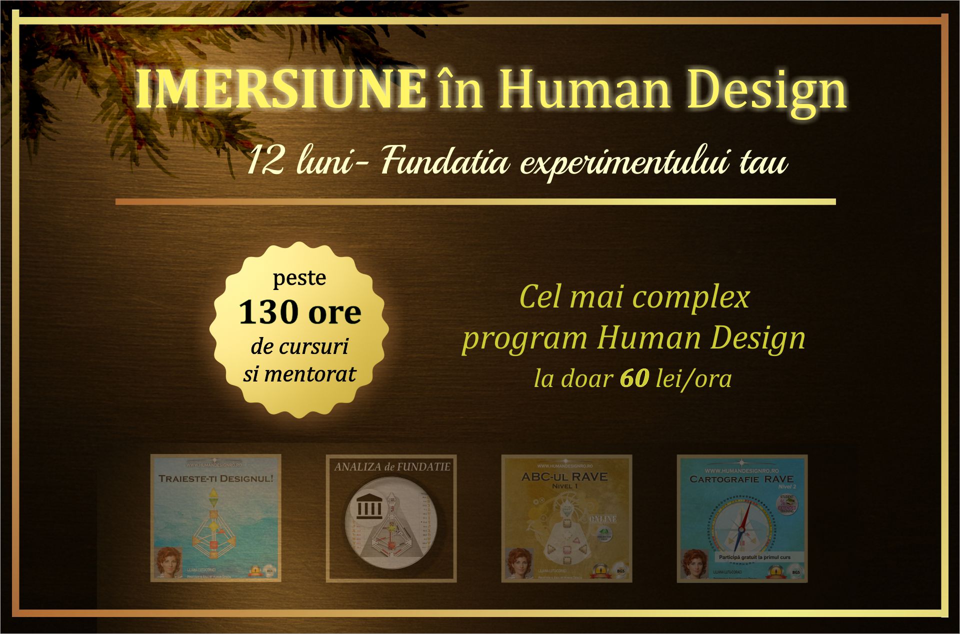 Imersiune în Human Design – program 12 luni, peste 130 ore