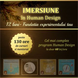 Imersiune în Human Design – program 12 luni, peste 130 ore