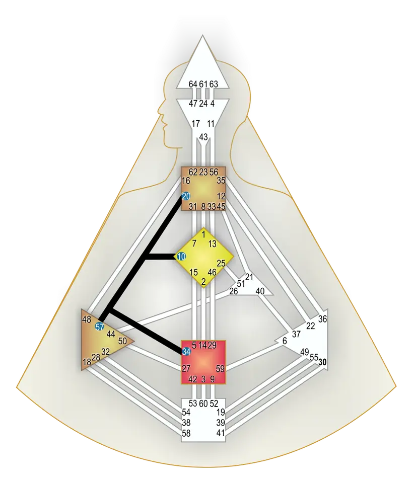 Câmpul Integrării evidențiat în Graficul RAVE Human Design