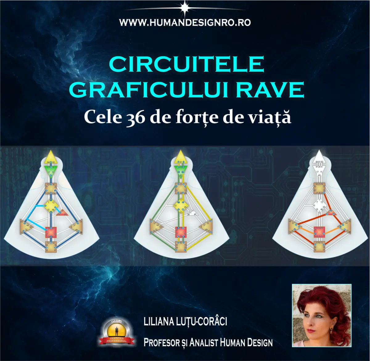 Curs Human Design Circuitele Graficului RAVE